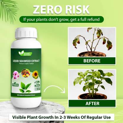 Plant Boost Liquid Seaweed Extract