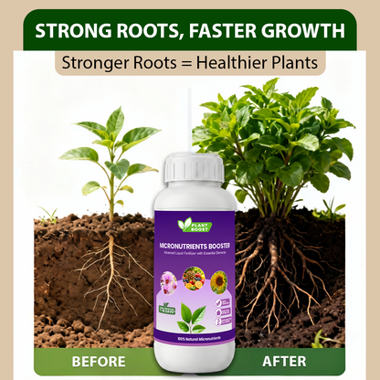 Plant Boost Micronutrients Booster