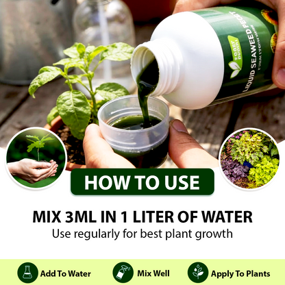 Plant Boost Liquid Seaweed Extract