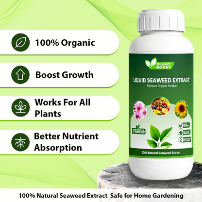 Plant Boost Liquid Seaweed Extract