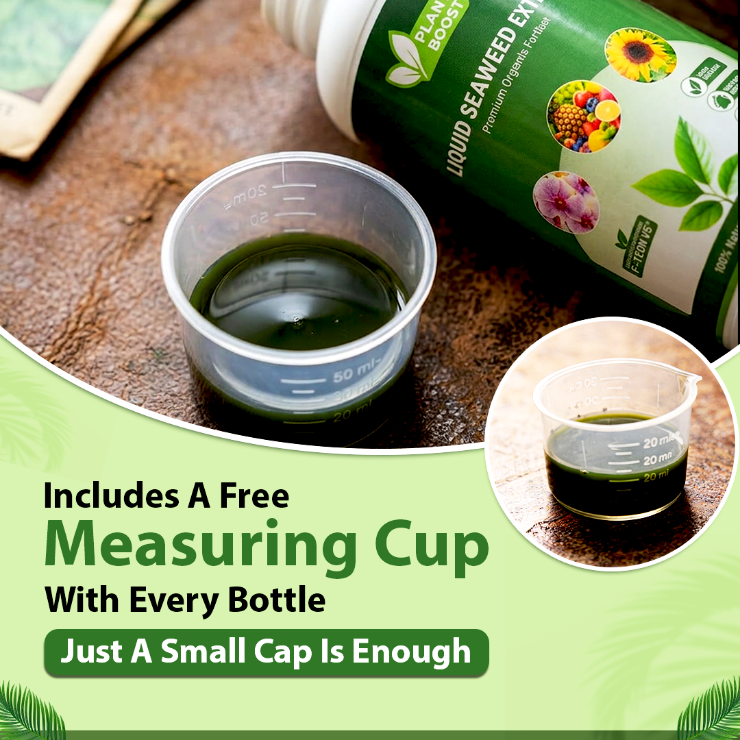 Plant Boost Liquid Seaweed Extract