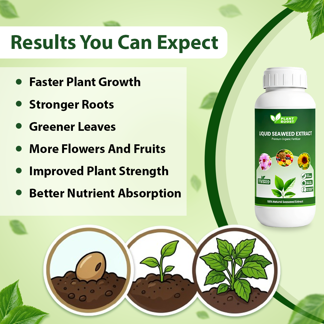 Plant Boost Liquid Seaweed Extract