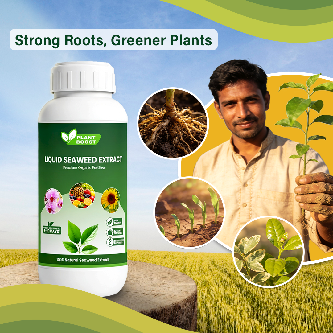 Plant Boost Liquid Seaweed Extract